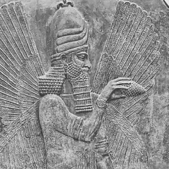 Web design project image. 