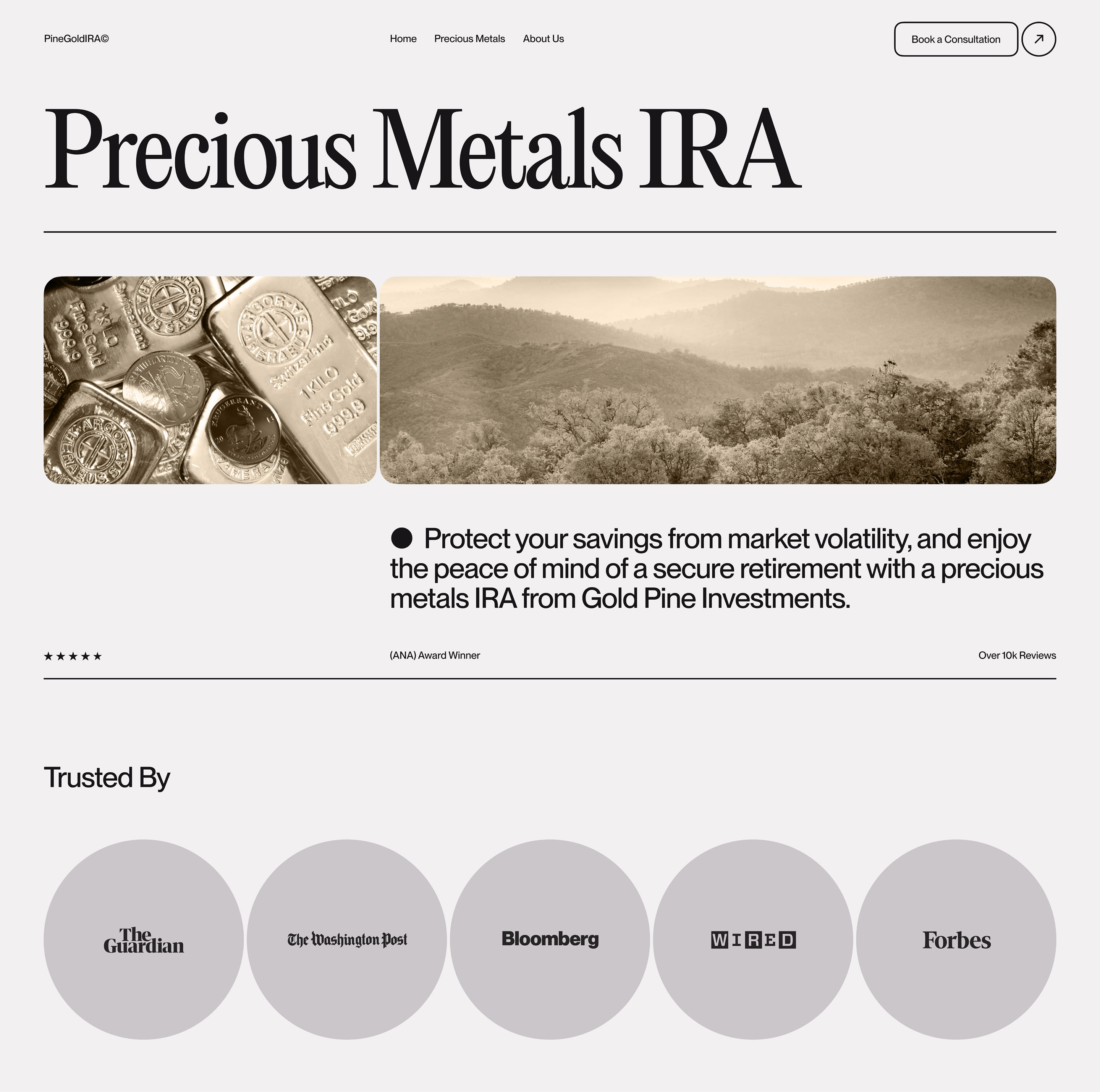 Website image