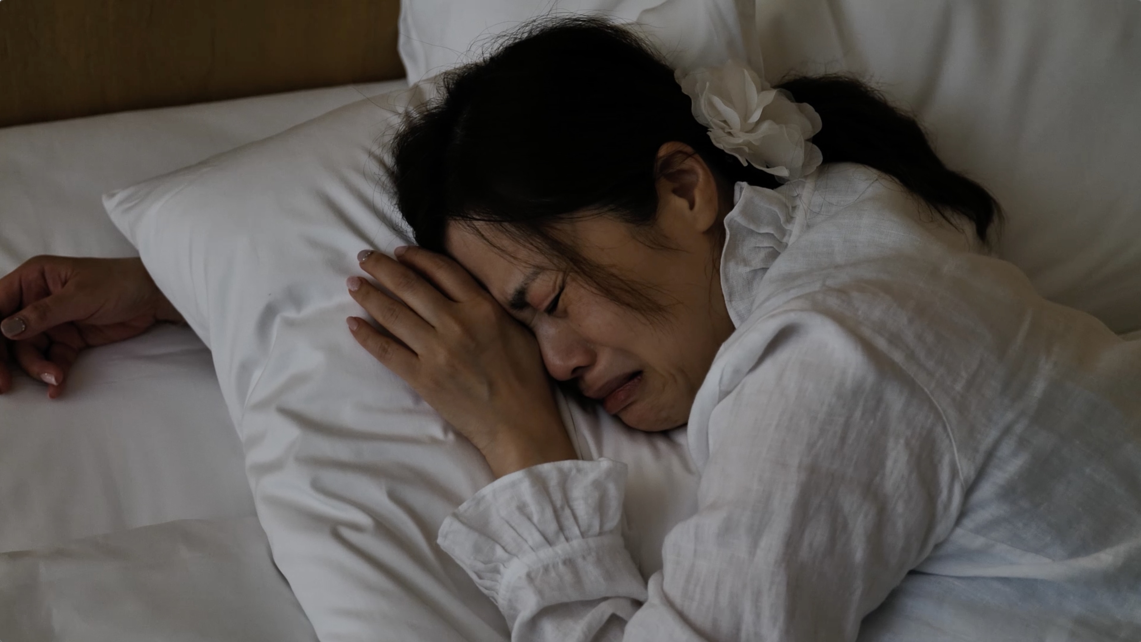 Two Nimbus Library founders in a minimalist office, showcasing the professional and versatile use of the library.