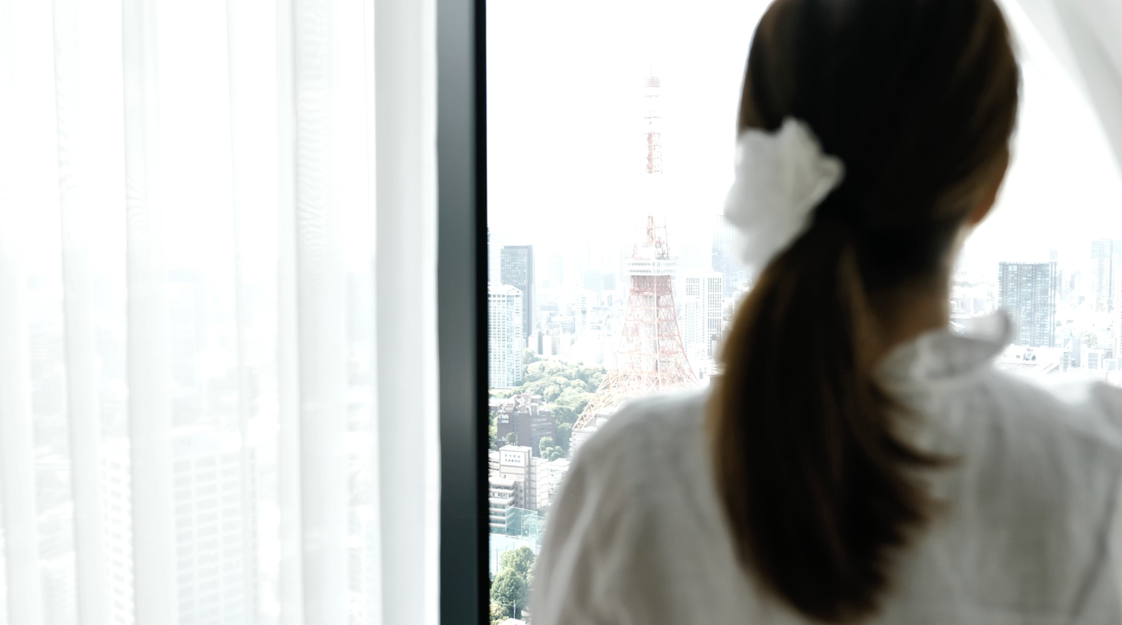 A modern, open-concept workspace filled with natural light and greenery, reflecting the clean and organized design of Nimbus Library.