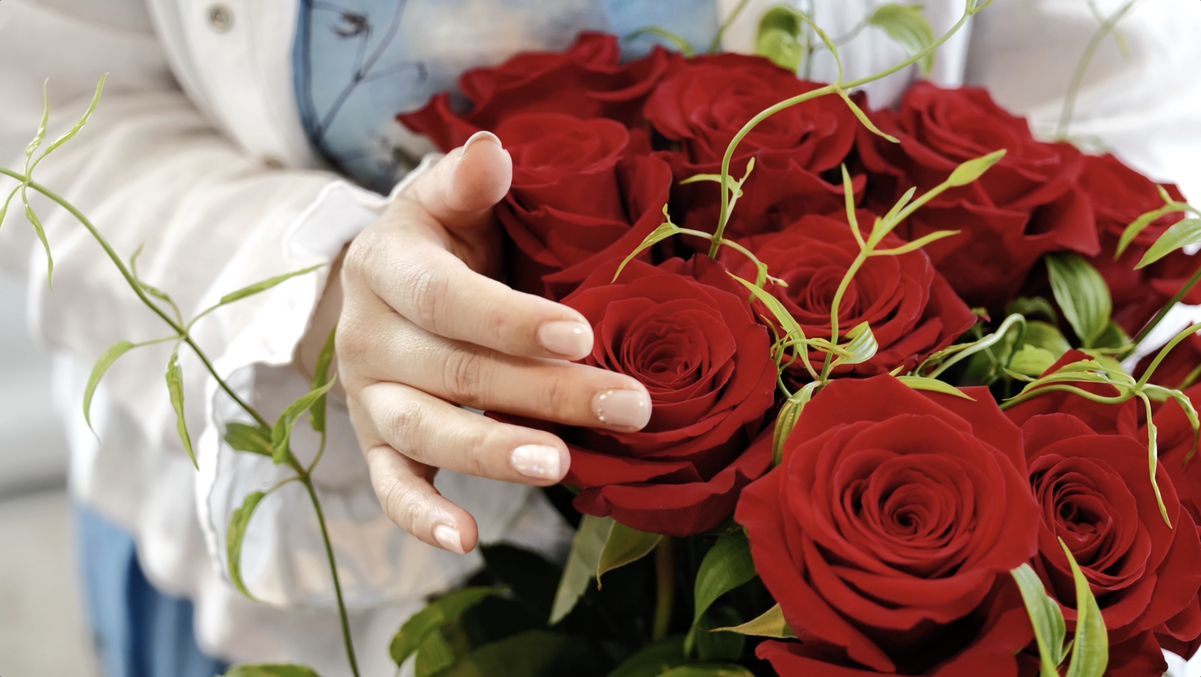 A modern, open-concept workspace filled with natural light and greenery, reflecting the clean and organized design of Nimbus Library.