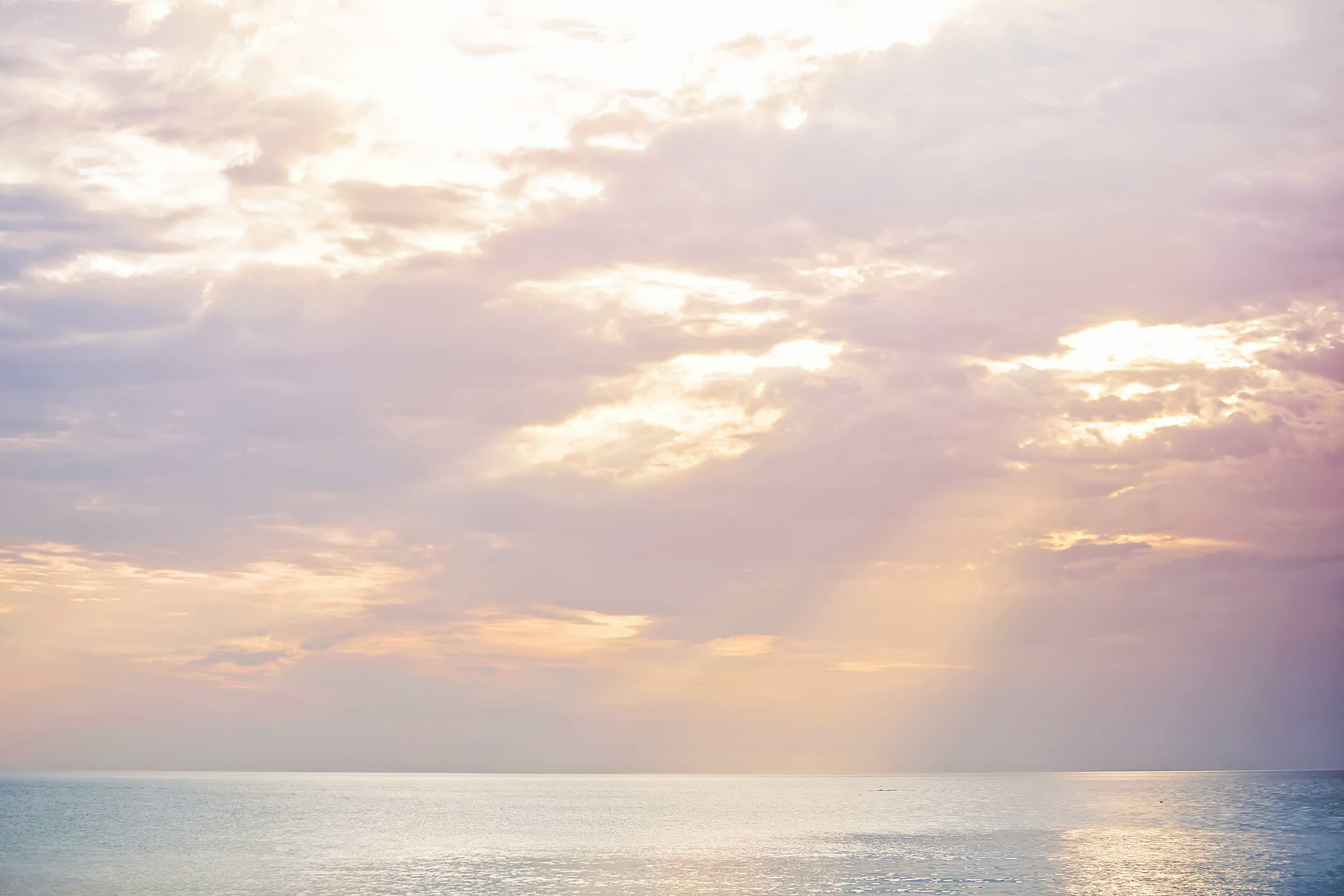 Open-concept office space with natural light and greenery, visualizing the space that’s breathing and creates values.