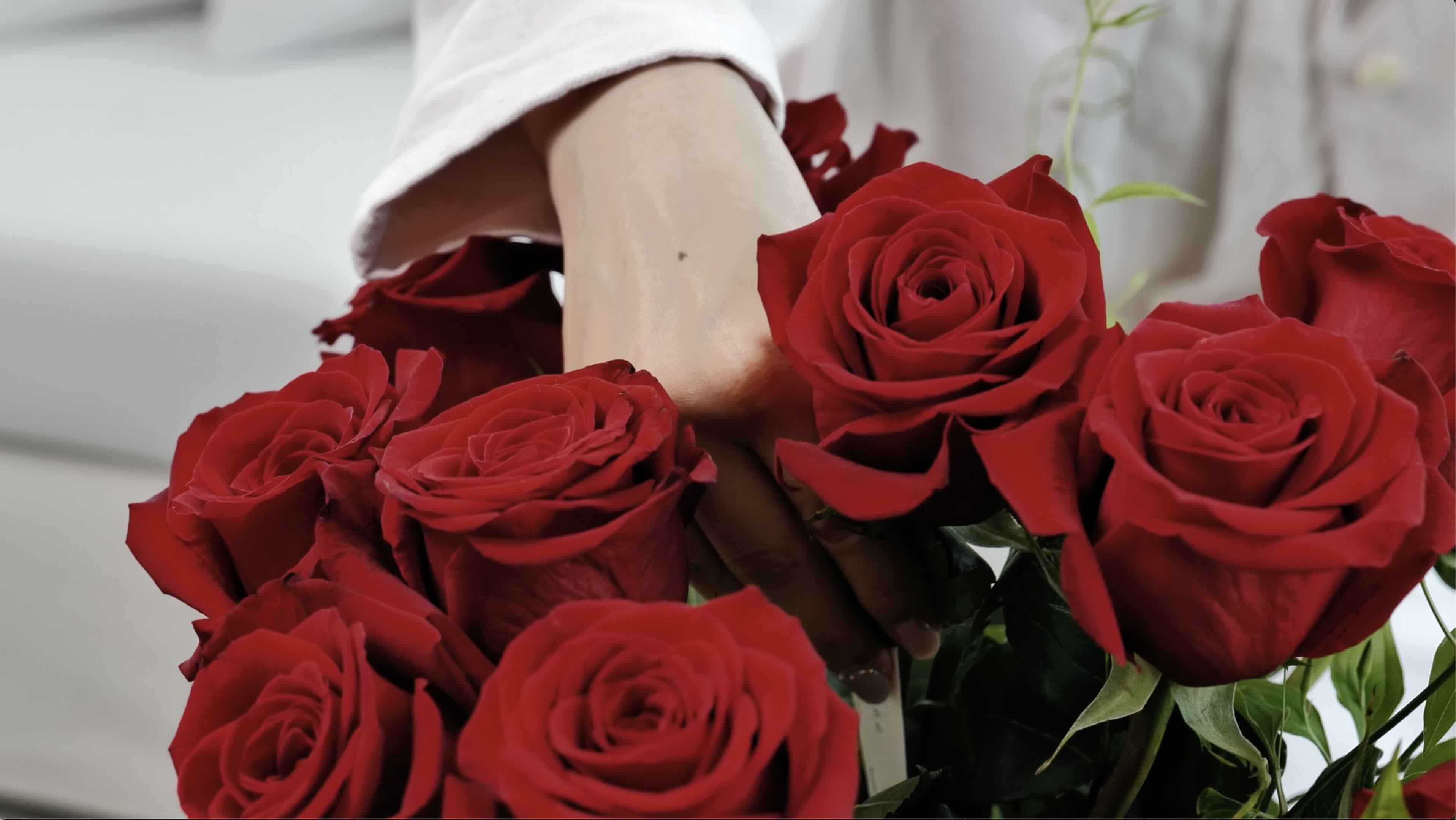 Two Nimbus Library founders in a minimalist office, showcasing the professional and versatile use of the library.