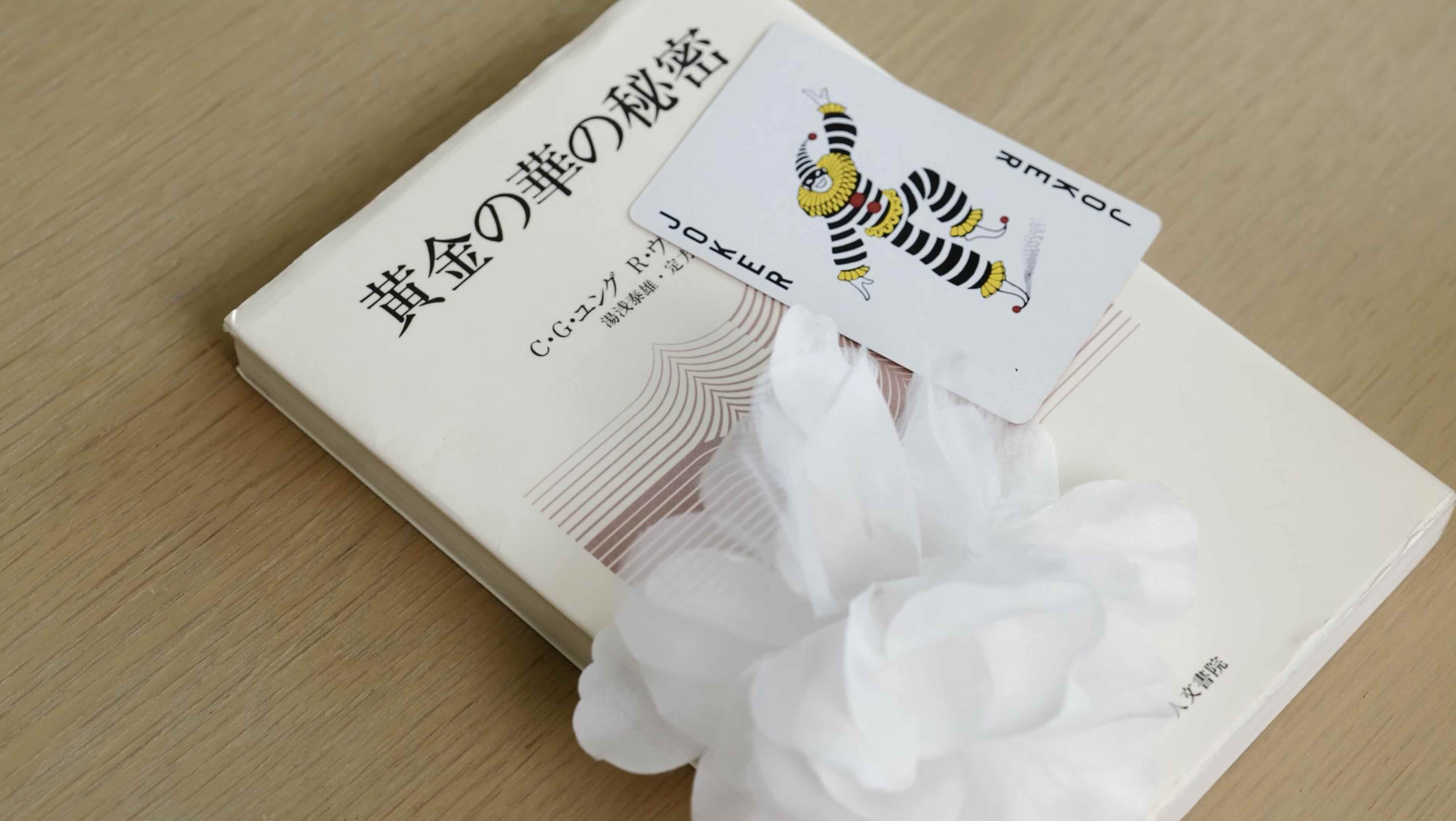 Two Nimbus Library founders in a minimalist office, showcasing the professional and versatile use of the library.