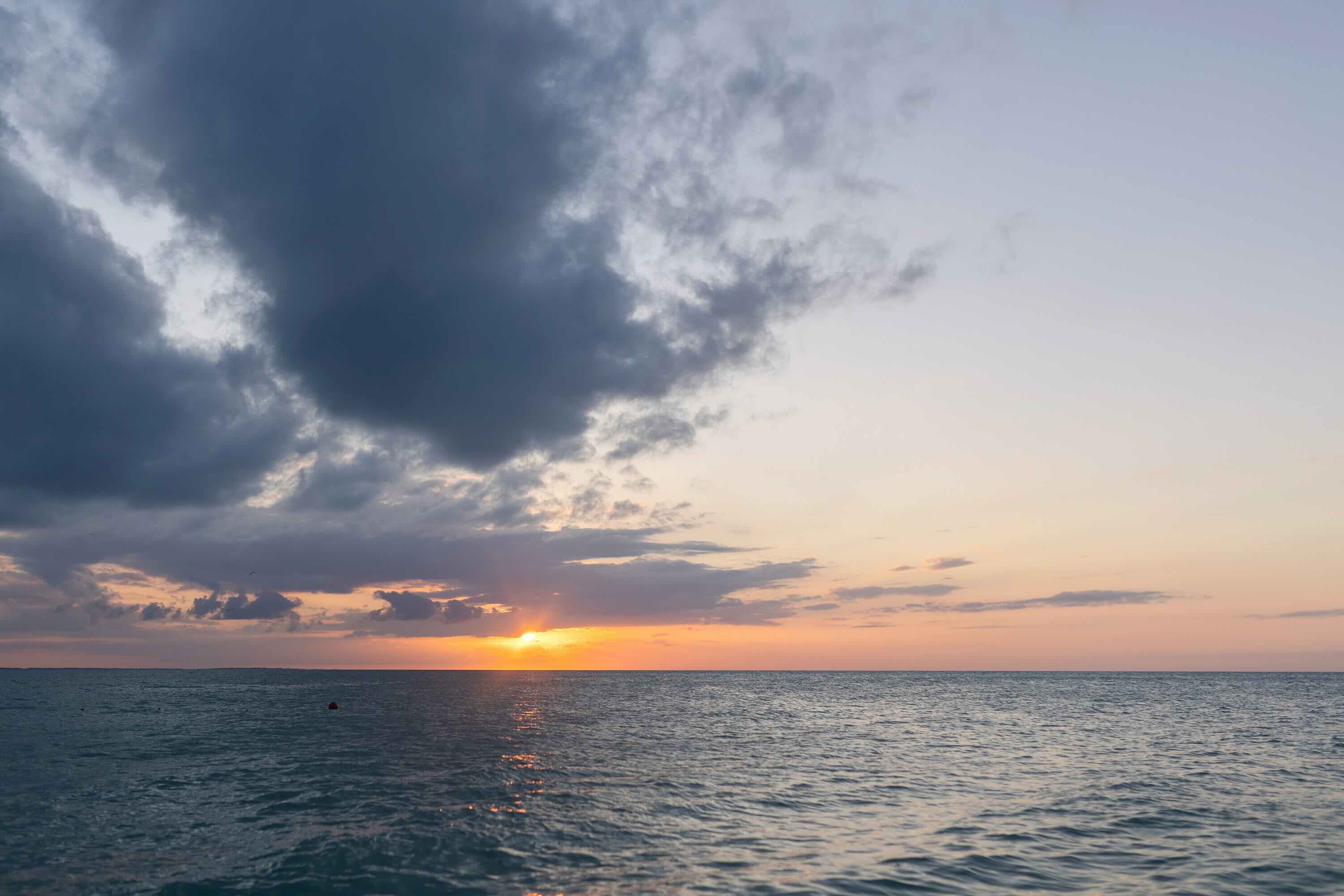 Profile Image of Nimbus Library client