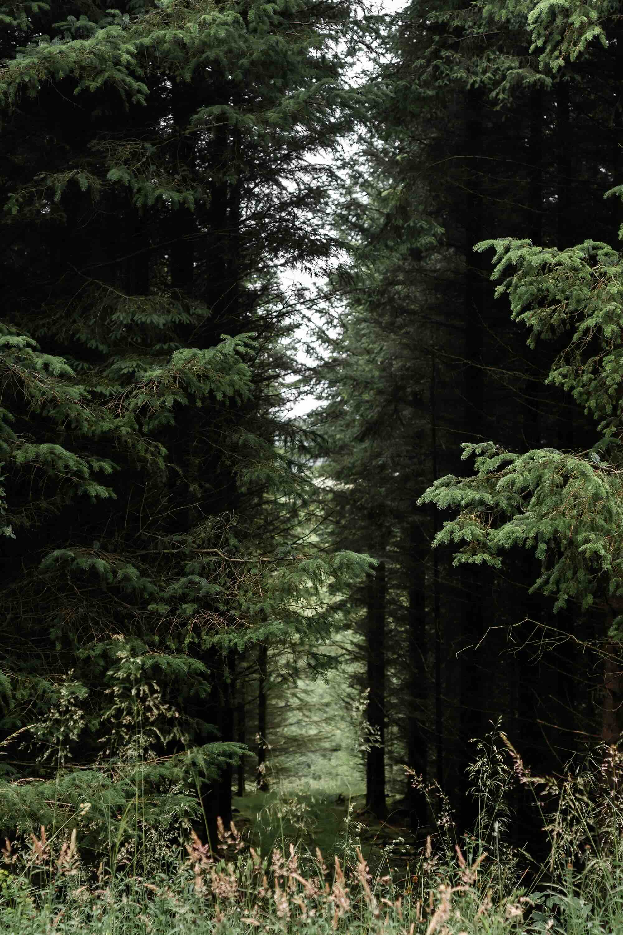 Profile Image of Nimbus Library client