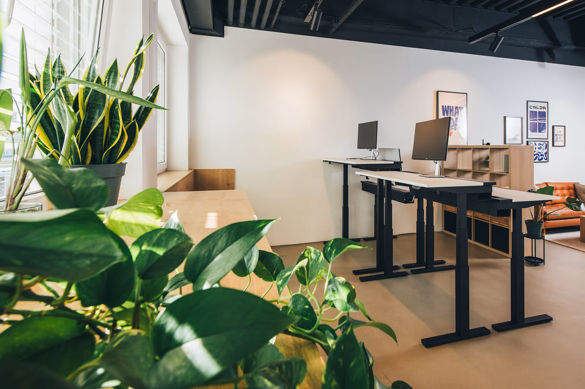 Modern office space with large green plants, two standing desks with monitors, and framed artwork on white walls.