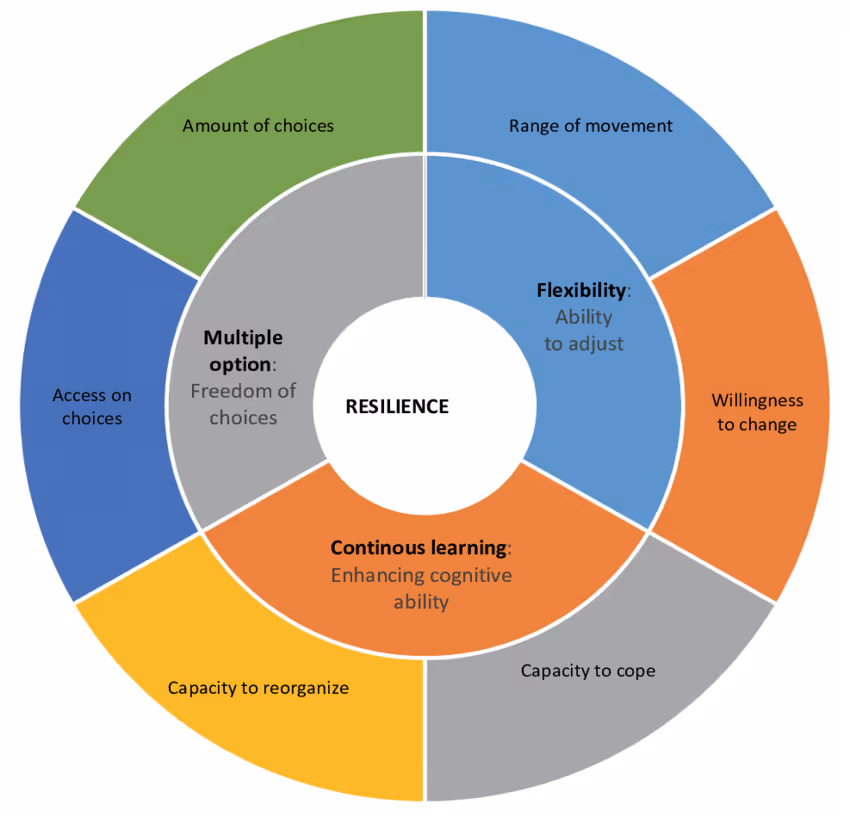 Circular diagram of resilience components including flexibility, learning and adaptation capacity