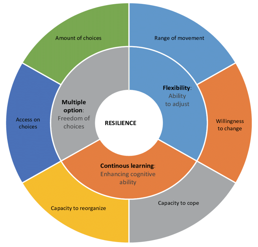 Circular diagram of resilience components including flexibility, learning and adaptation capacity