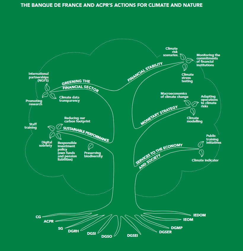 Infographic of Banque de France and ACPR actions for climate and sustainable development