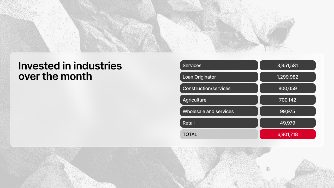 Table showing investments by industry sector in December - Services €3,951,581, Loan Originator €1,299,982, Construction/Services €800,059, Agriculture €700,142, Wholesale and services €99,975, Retail €49,979