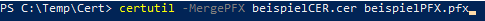 2_certutil in PowerShell ausführen