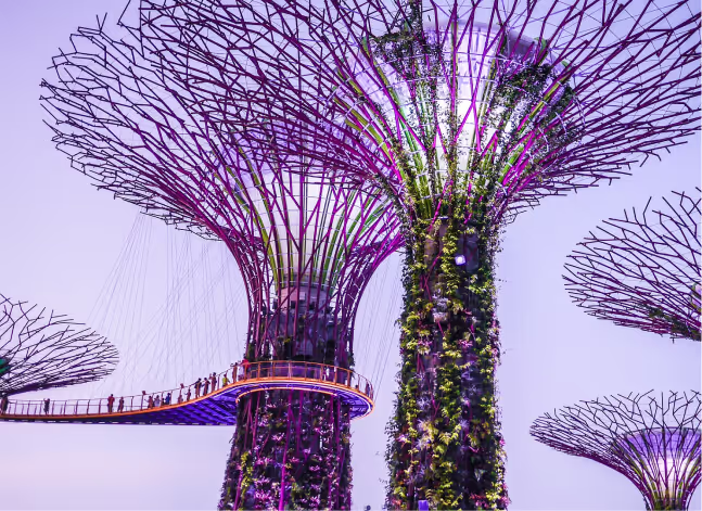 Gardens by the bay Singapore