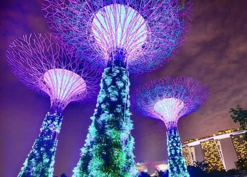 Gardens by the bay trees