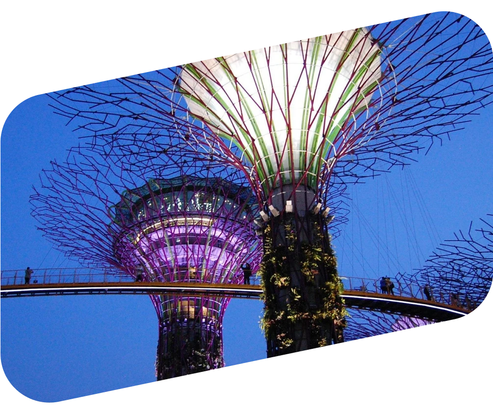 Gardens by the bay trees