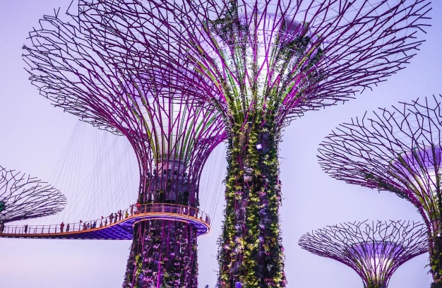 Trees at gardens by the bay singapore