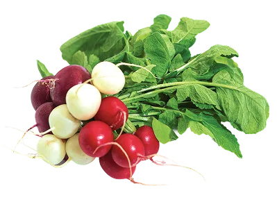 Mini Vegetables