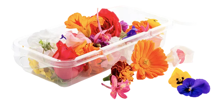 Edible Flowers