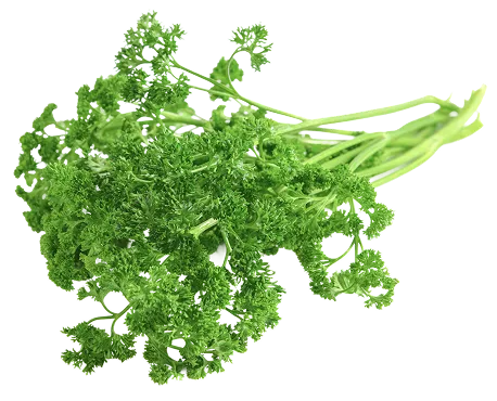 Salads