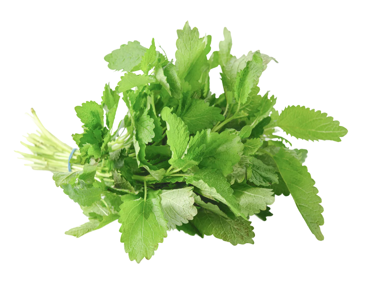 Salades