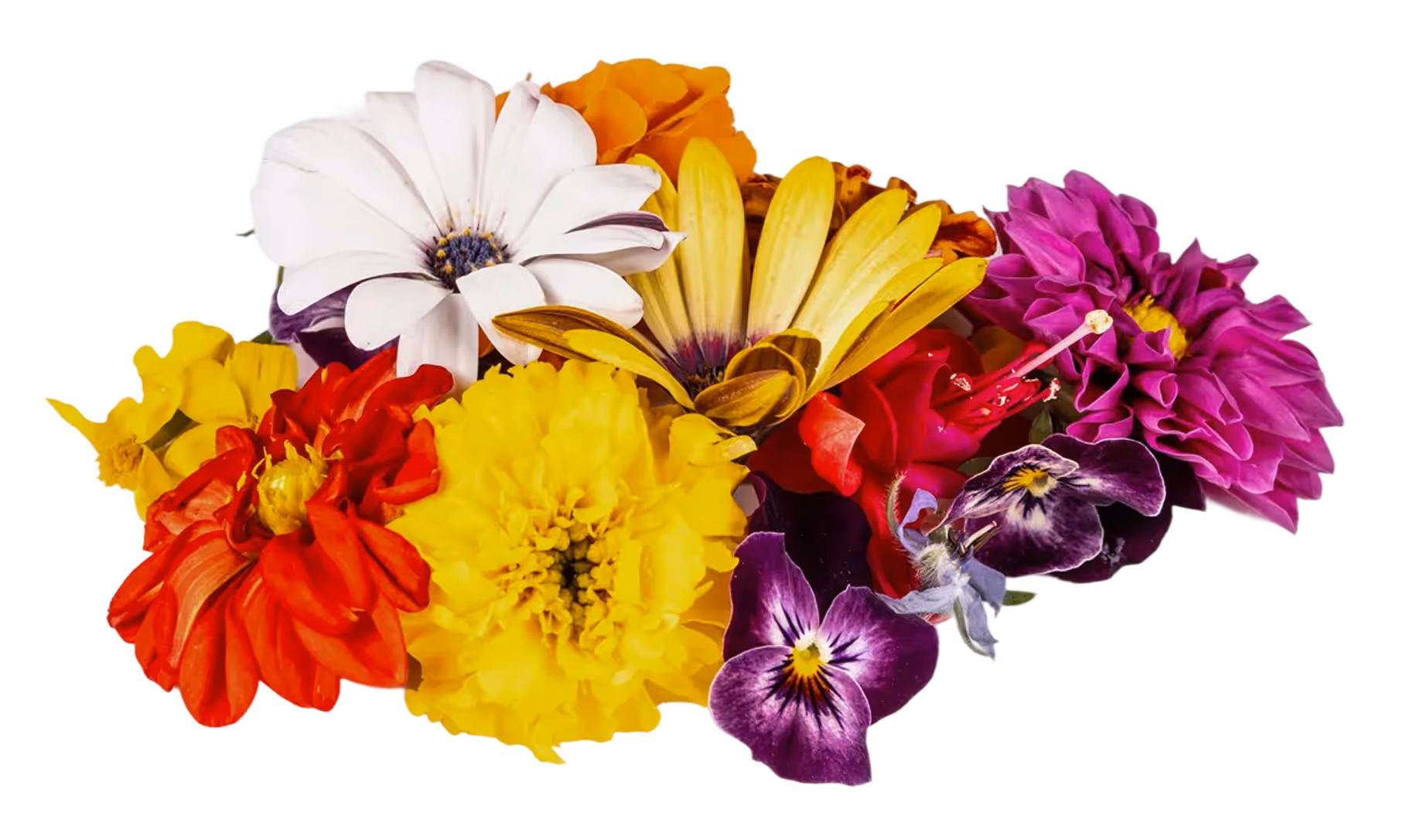 Edible Flower
