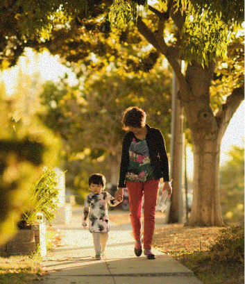 Two people jogging on a path lined with tall trees in soft sunlight during early morning or evening.