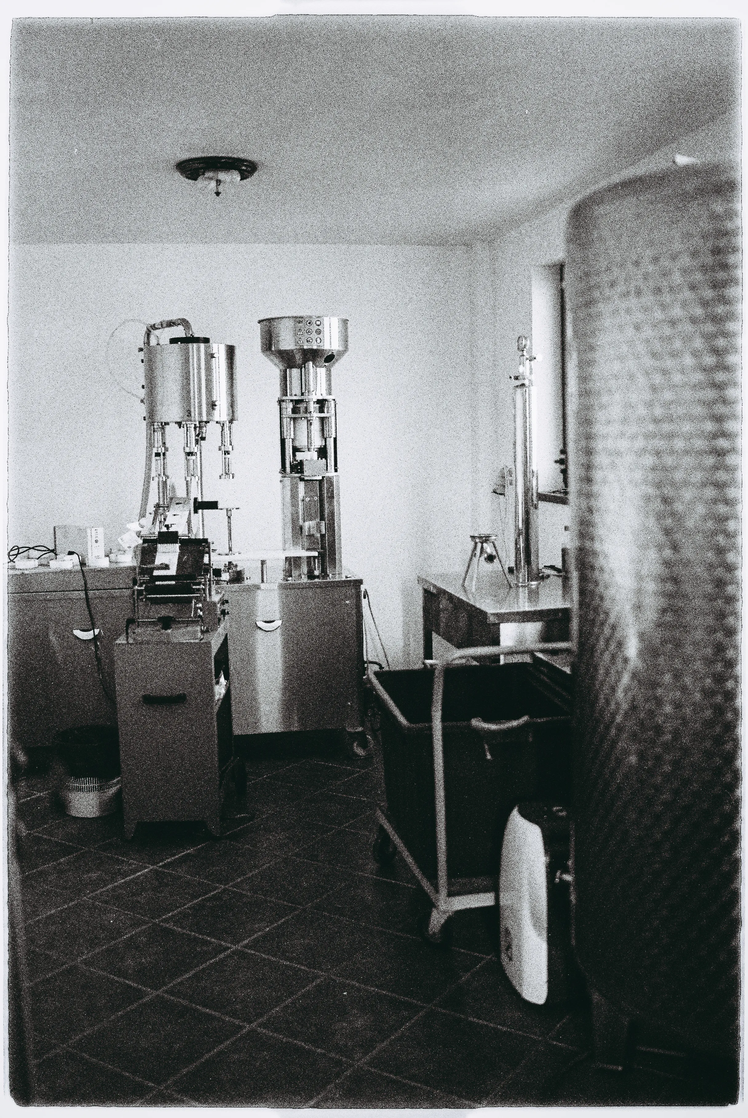 Echipa Cramei Darie în cramă