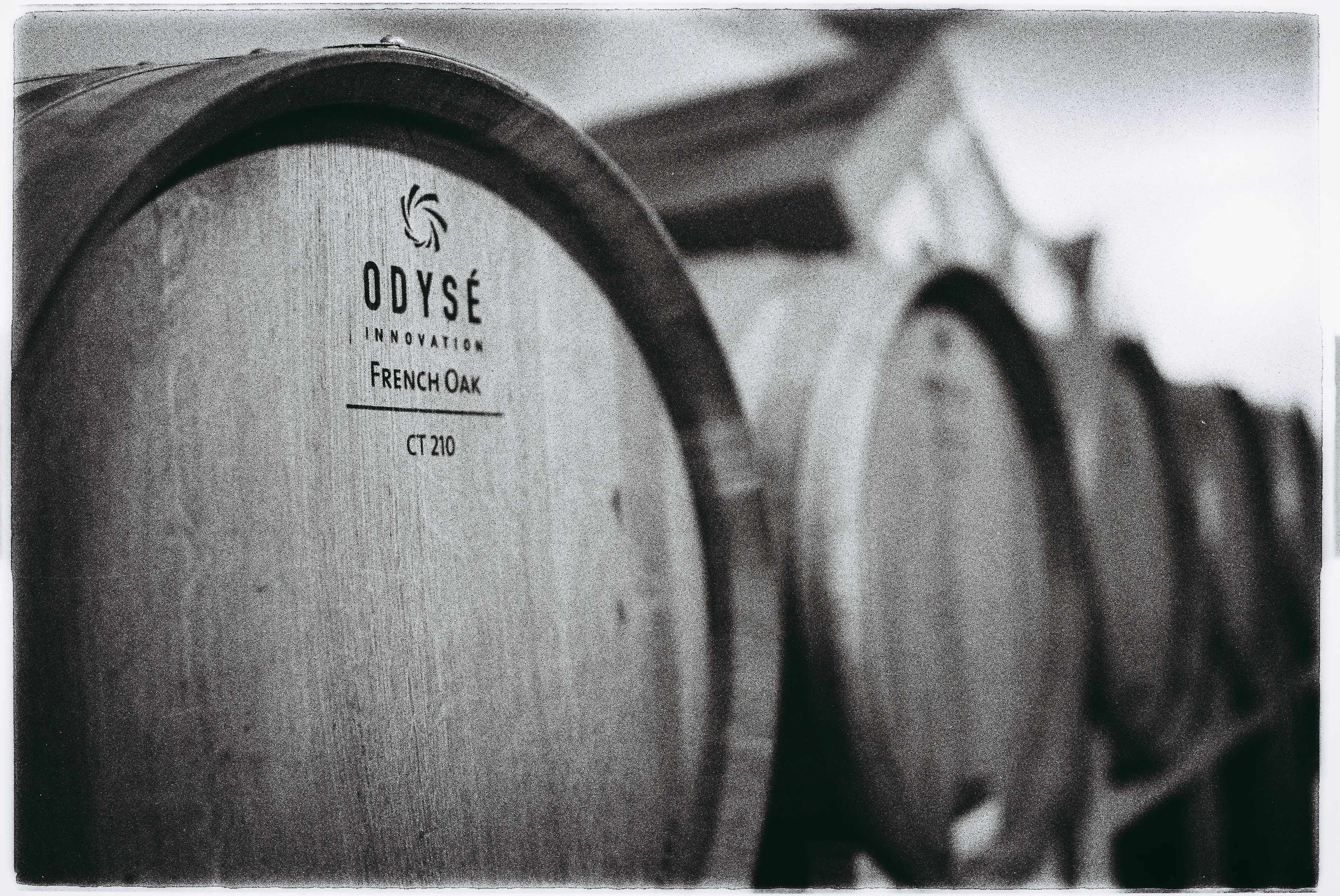 Interiorul Cramei Darie, tancuri de inox cu temperatură controlată