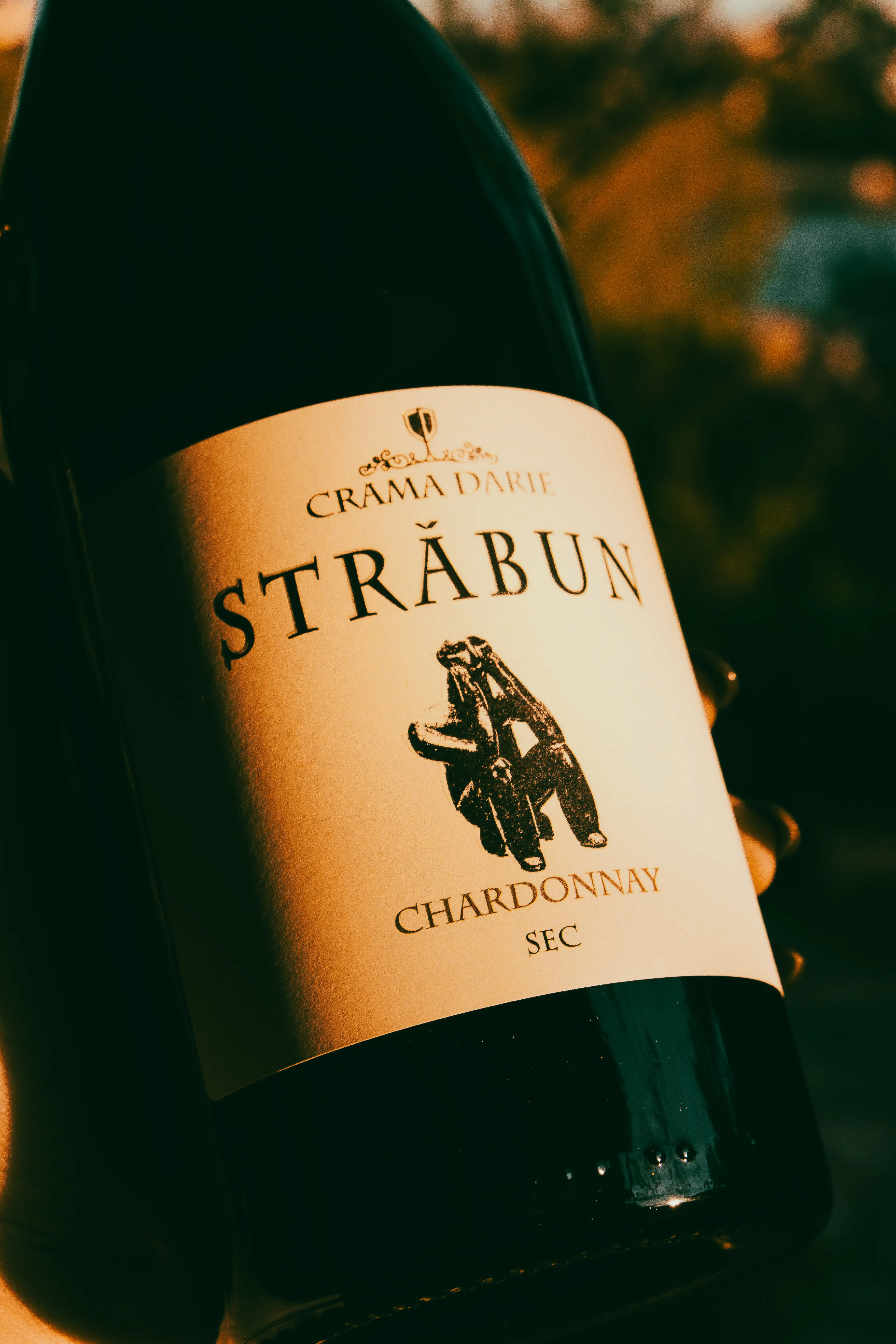 Wine bottle and glass in nature