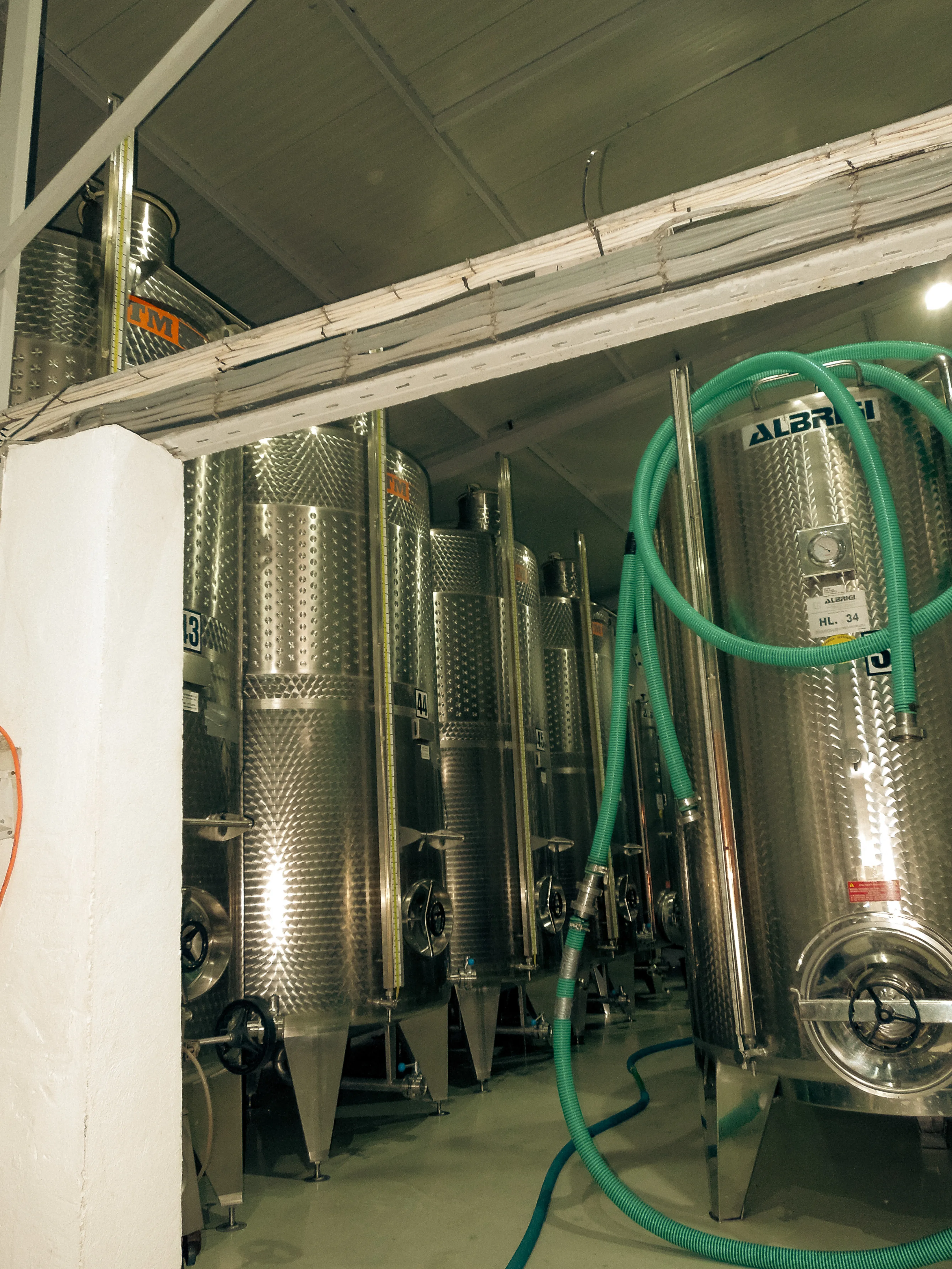 Struguri la recepție și presă la Crama Darie