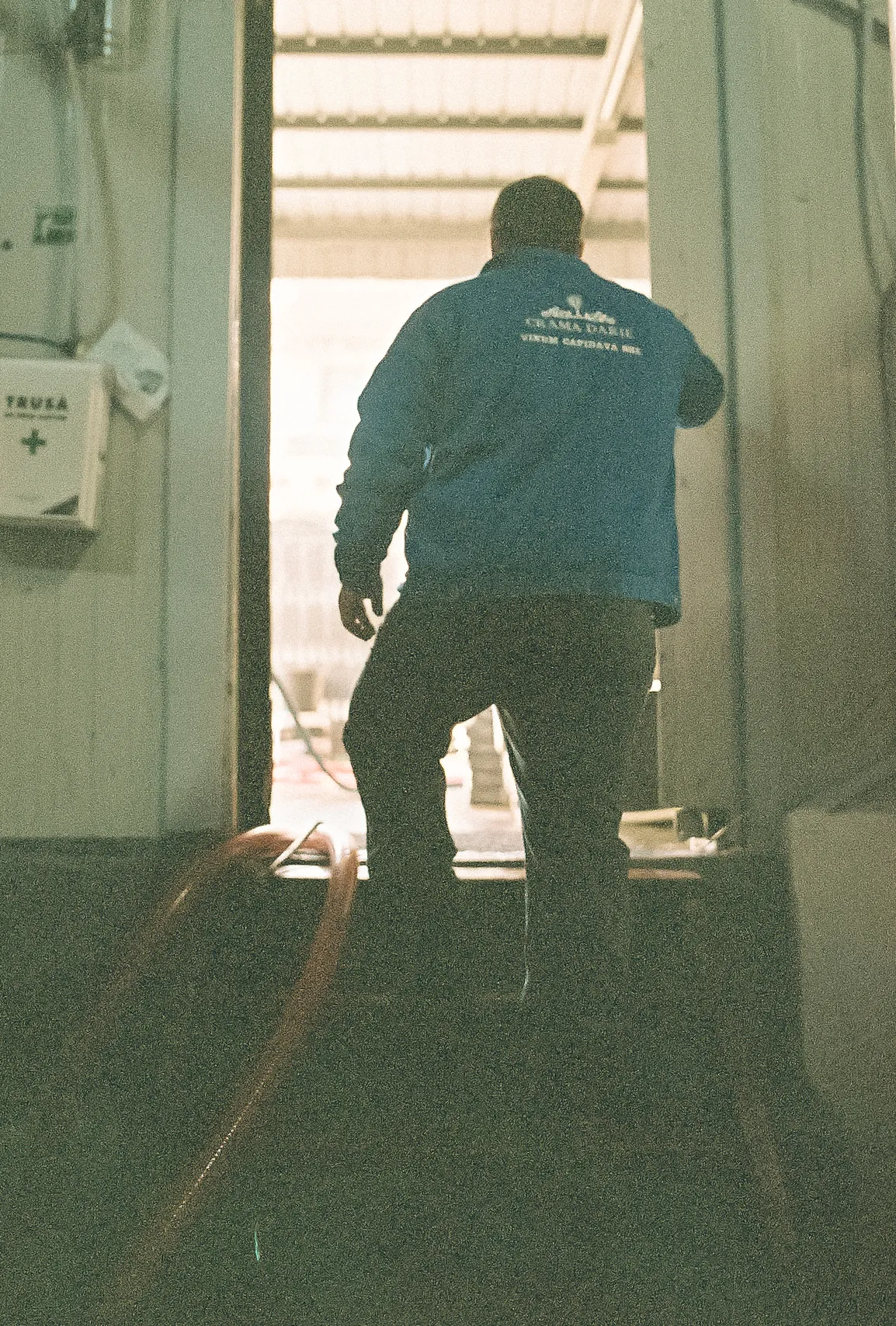 Familia Darie la cramă