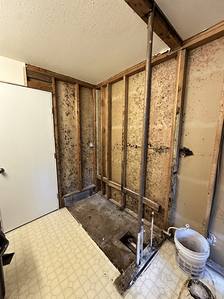 Luxury Bathroom Update – Edmonds In Process 