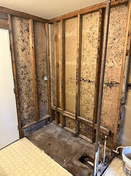 Luxury Bathroom Update – Edmonds In Process 