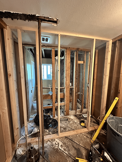 Luxury Bathroom Update – Edmonds In Process 