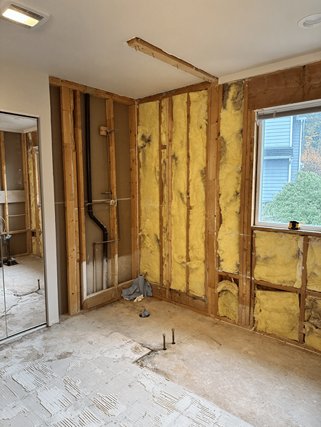 Master Bathroom Transformation Newcastle, WA - Before 