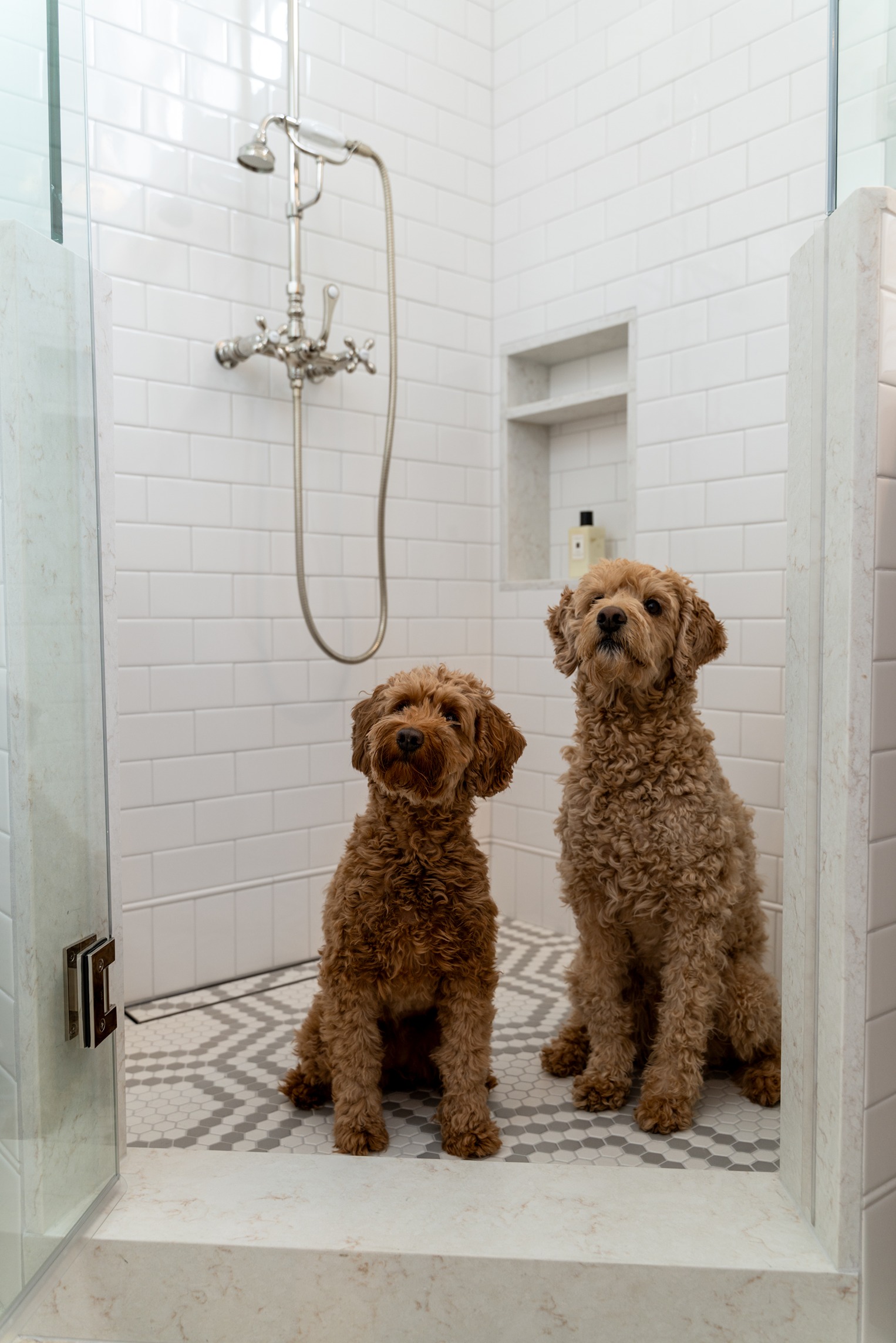 Elegant & Stylish Bathroom Makeover Seattle After