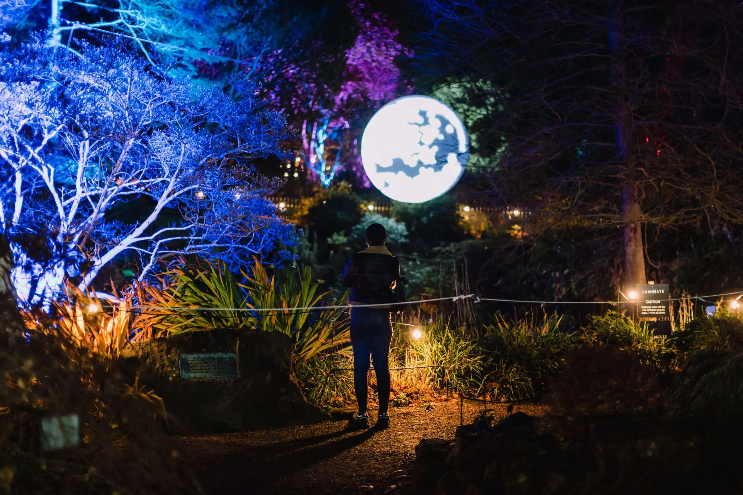 Person standing on a lit path at night, looking at a glowing orb installation amid colorful illuminated trees.