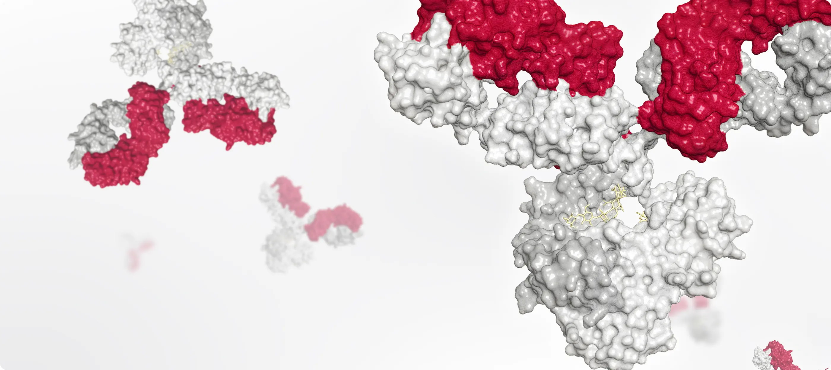 A group of red and white cells in a white background.