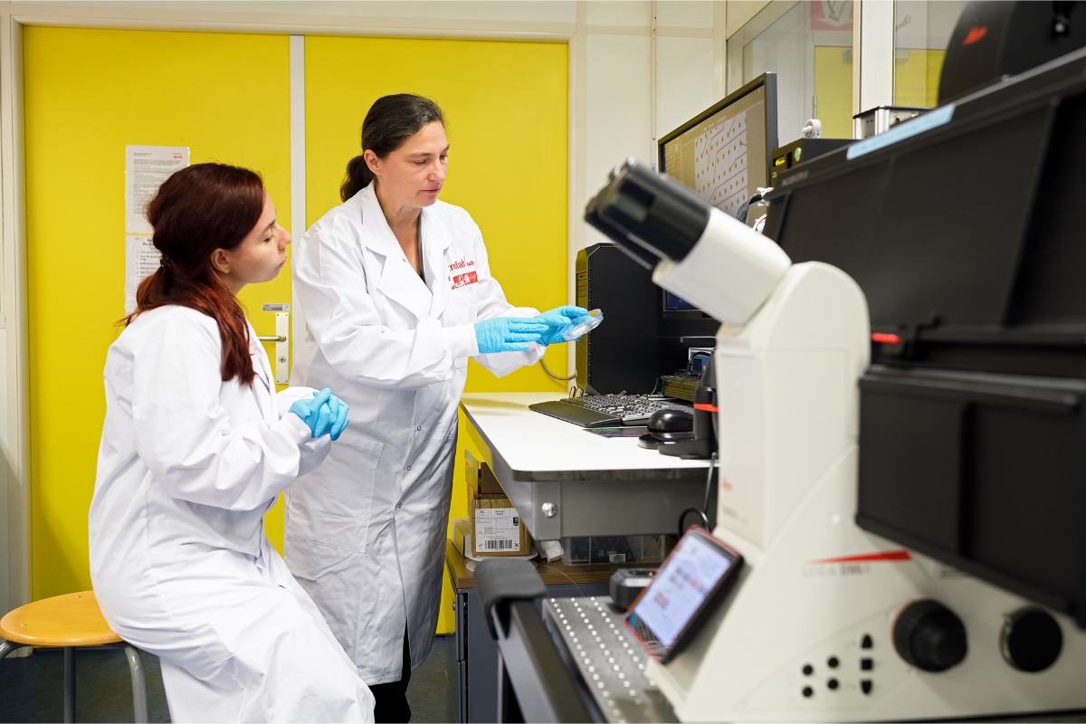 Photography by Bart van Overbeeke