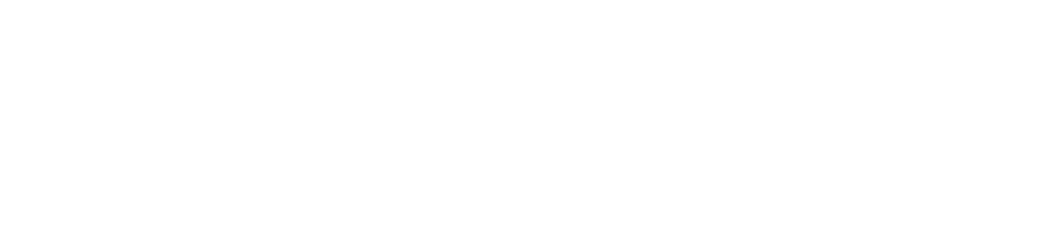 Logo with a white outline of a house containing a capital letter Ā, followed by the word Būve with a macron over the u, all on a transparent background.