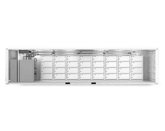40 HC Immersion mining container