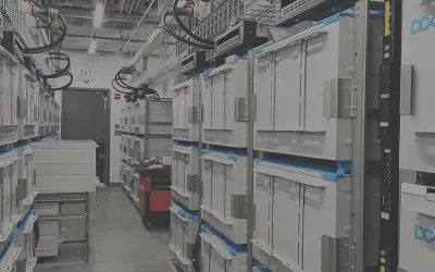Immersion racks and containers