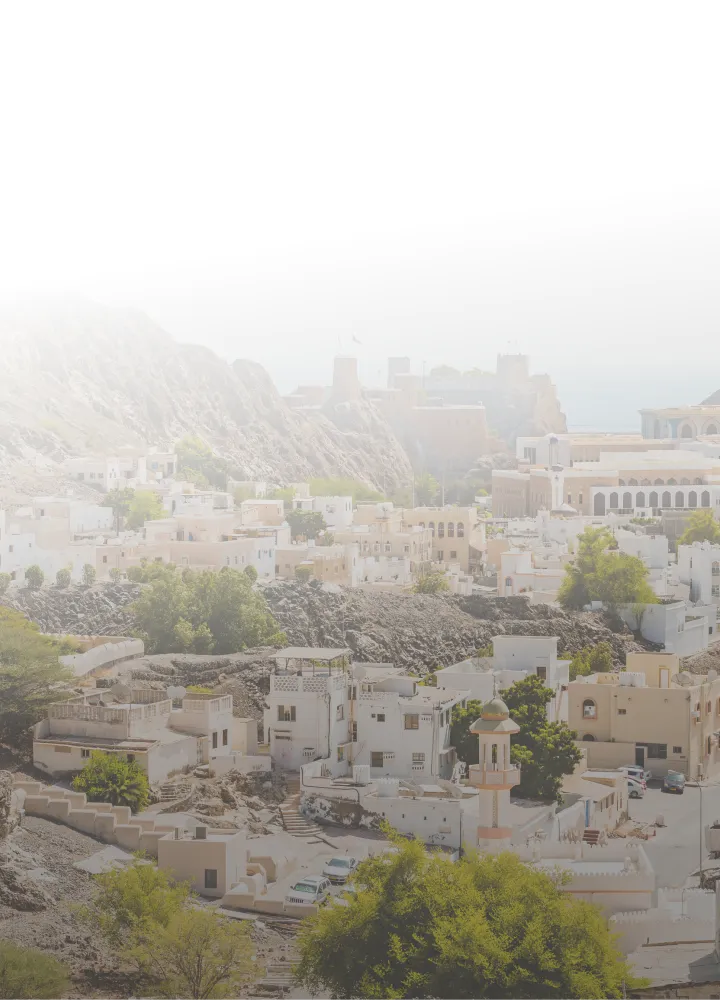Small town with white buildings and a mosque at the base of rocky hills under a hazy sky.