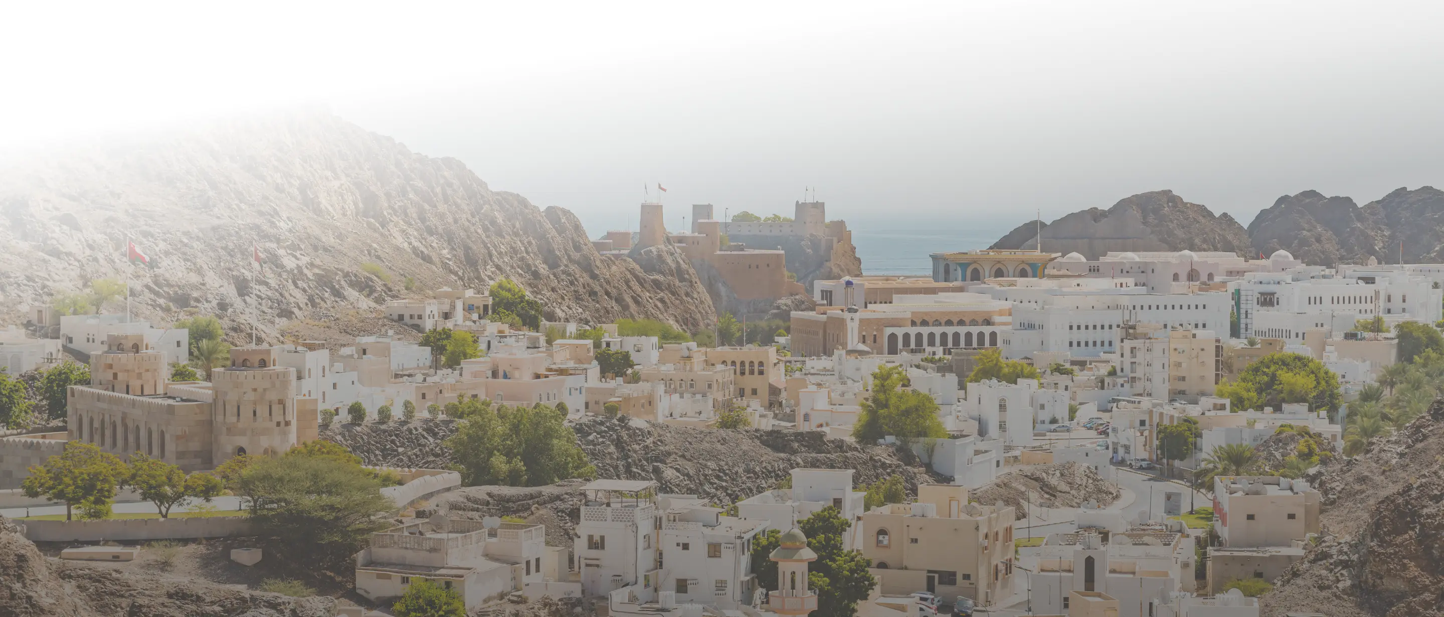 White buildings clustered among rocky hills with a fortress and sea in the background.