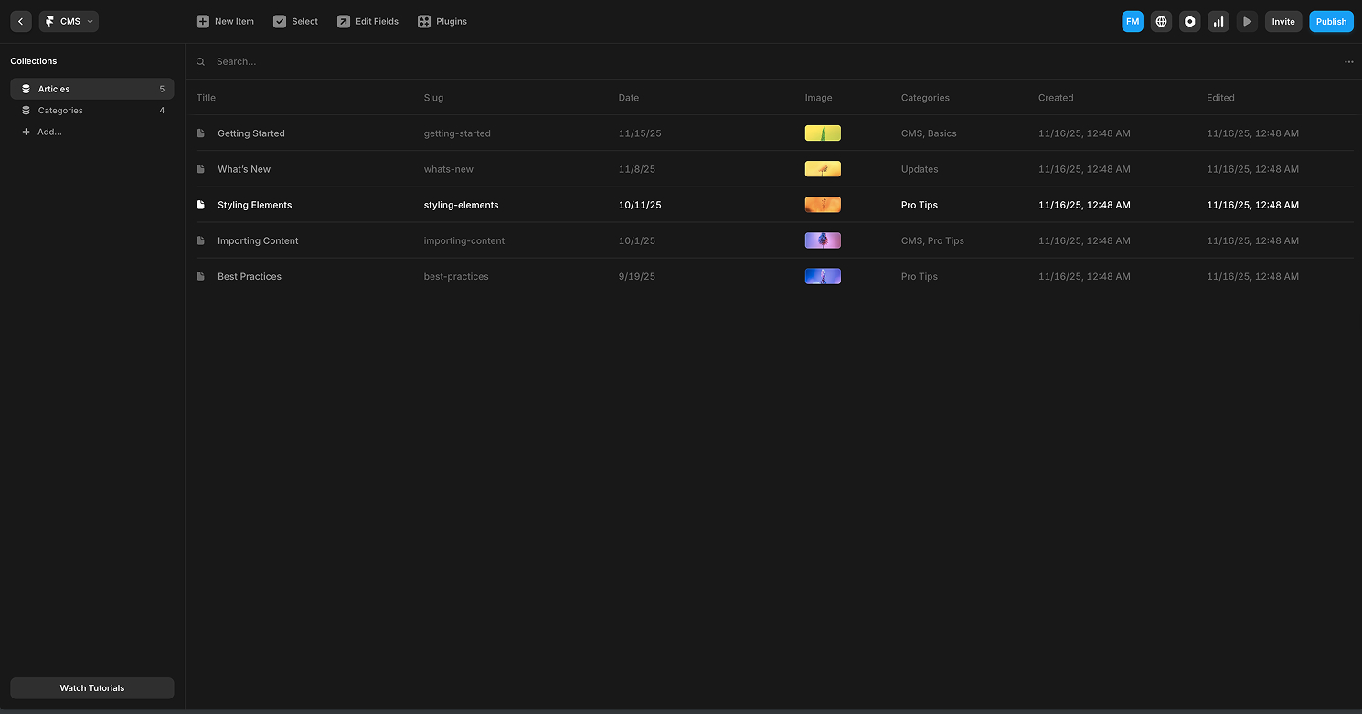 An image of the Webflow CMS.
