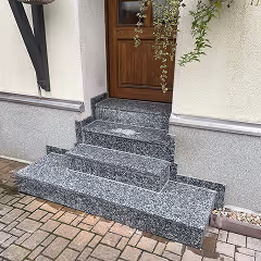 Eingangstreppe aus grauem Granit mit drei Stufen vor einer Holztür und Pflanze, die an der Wand hängt.
