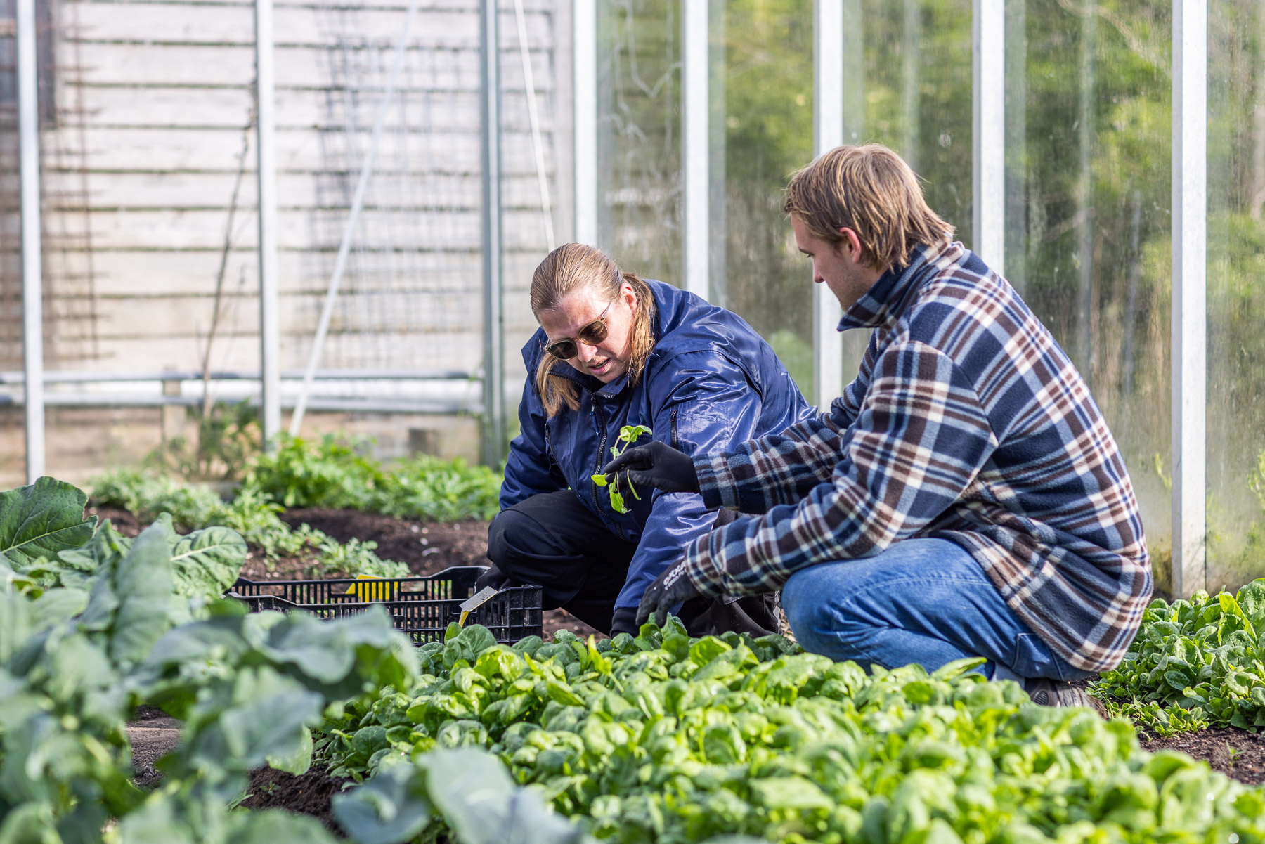 bewoners verzorgen plantjes in de kas van dijkgatshoeve