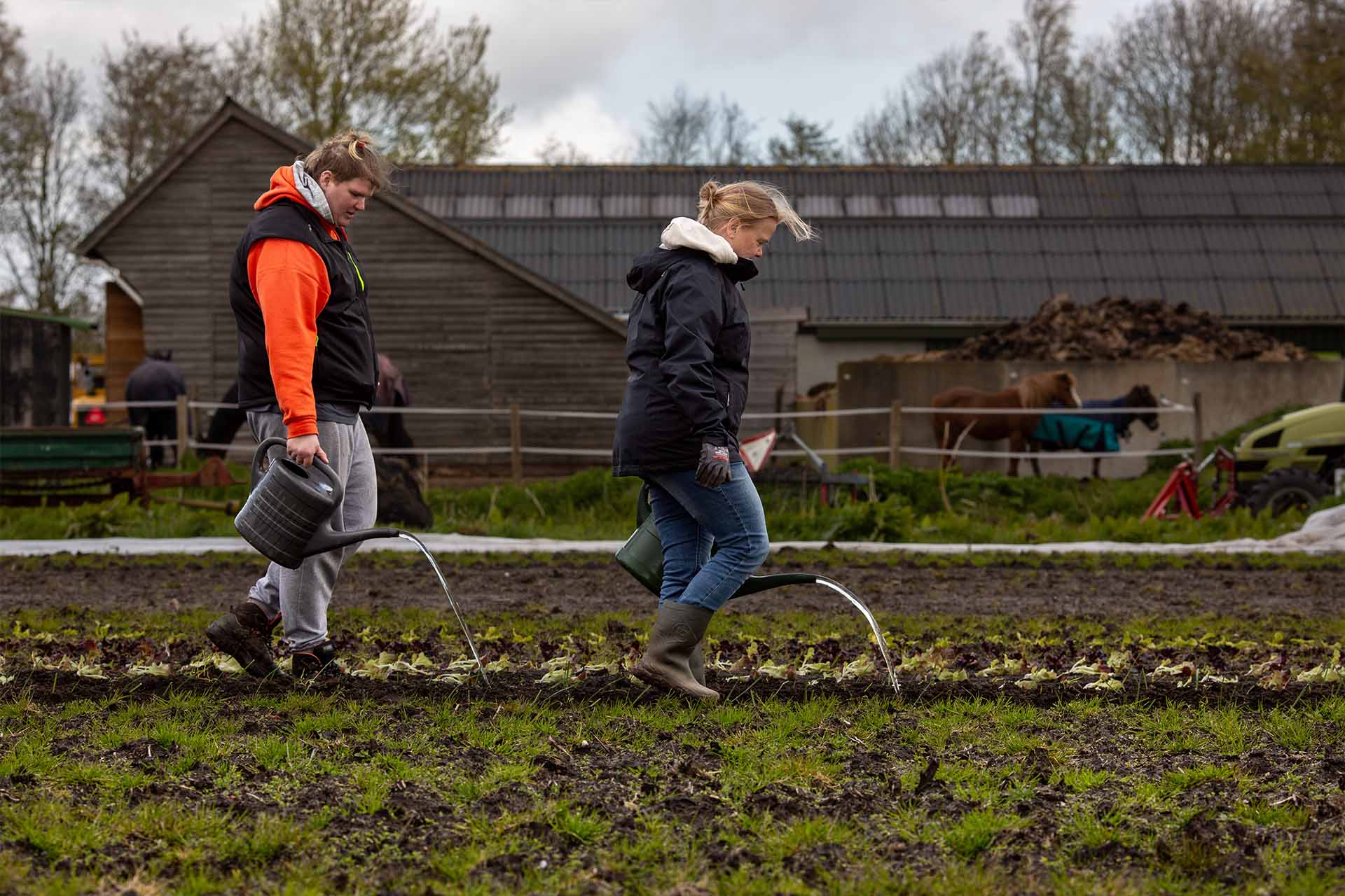 bewoner en medewerker geven water op het land van noorderhoeve