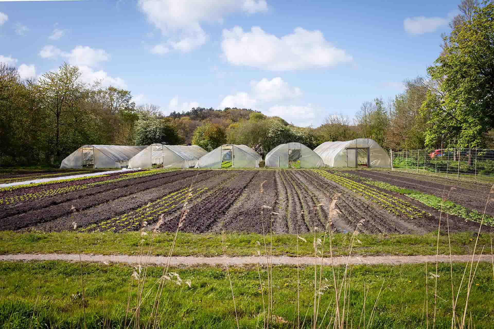 Tuindiner bij De Noorderhoeve