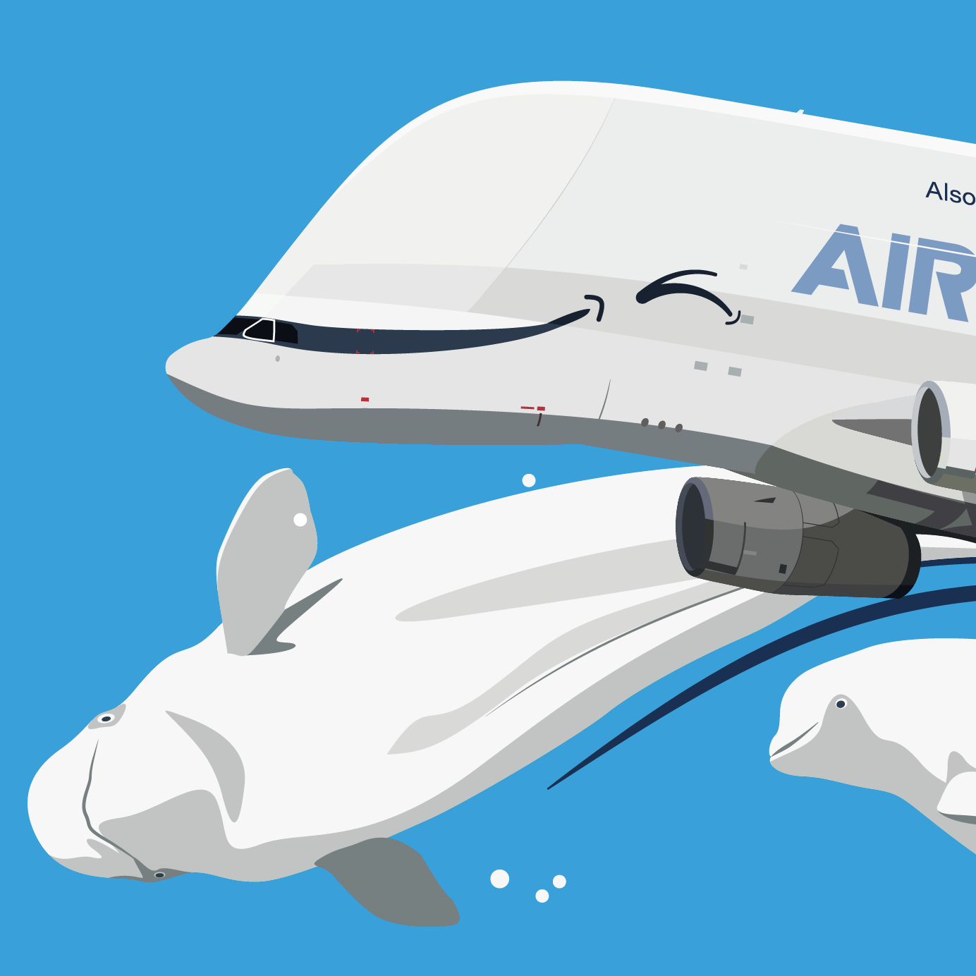 Nagakawart Airbus A330-743L - BELUGA XL